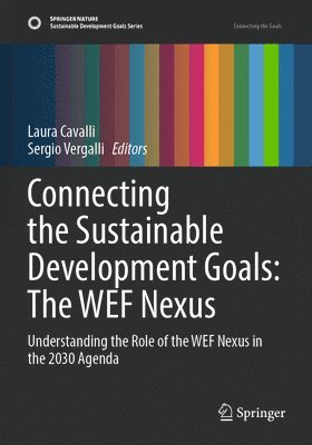 bokomslag Connecting the Sustainable Development Goals: The WEF Nexus