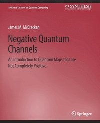 bokomslag Negative Quantum Channels