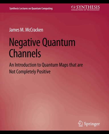 James M. McCracken - Negative Quantum Channels, Häftad