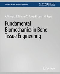 bokomslag Fundamental Biomechanics in Bone Tissue Engineering