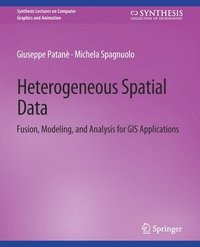 bokomslag Heterogeneous Spatial Data