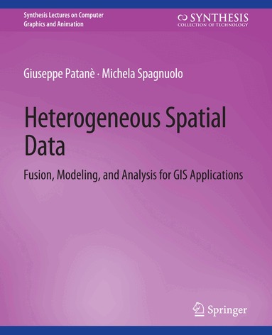Giuseppe Patanè, Michela Spagnuolo - Heterogeneous Spatial Data, Häftad