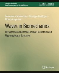 bokomslag Waves in Biomechanics