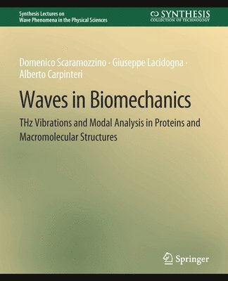 Waves in Biomechanics 1