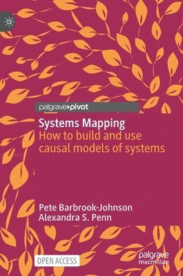 Systems Mapping 1