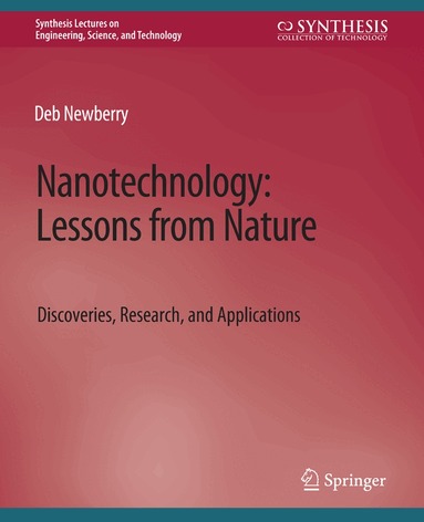 Deb Newberry - Nanotechnology, Lessons from Nature, Häftad