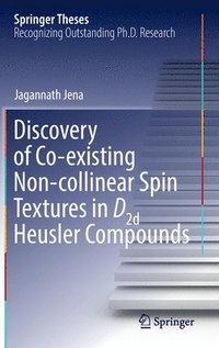 bokomslag Discovery of Co-existing Non-collinear Spin Textures in D2d Heusler Compounds