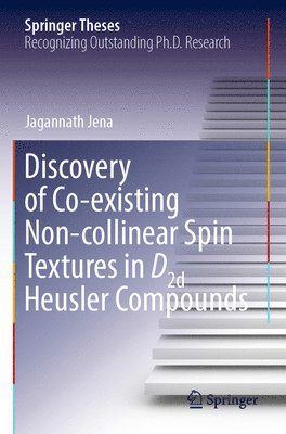 bokomslag Discovery of Co-existing Non-collinear Spin Textures in D2d Heusler Compounds