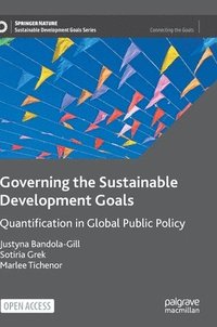bokomslag Governing the Sustainable Development Goals