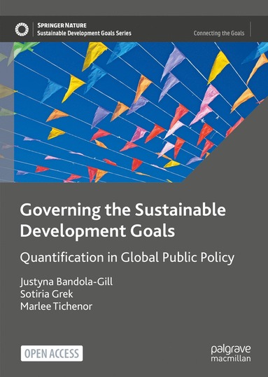 bokomslag Governing the Sustainable Development Goals