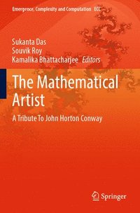 bokomslag The Mathematical Artist