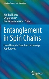 bokomslag Entanglement in Spin Chains