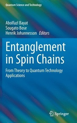 Entanglement in Spin Chains 1