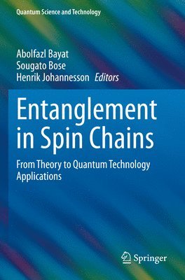 bokomslag Entanglement in Spin Chains