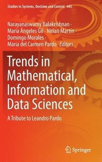 bokomslag Trends in Mathematical, Information and Data Sciences