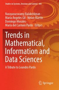 bokomslag Trends in Mathematical, Information and Data Sciences