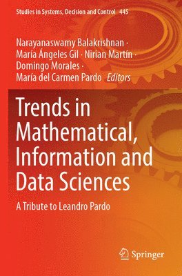 bokomslag Trends in Mathematical, Information and Data Sciences