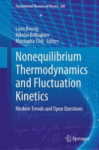 bokomslag Nonequilibrium Thermodynamics and Fluctuation Kinetics