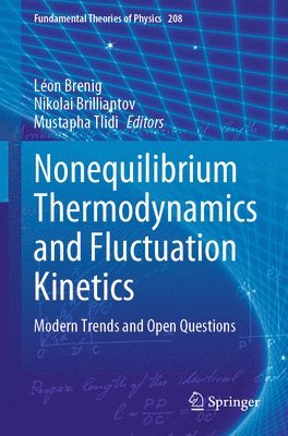 bokomslag Nonequilibrium Thermodynamics and Fluctuation Kinetics