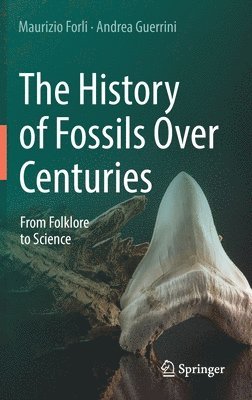 The History of Fossils Over Centuries 1