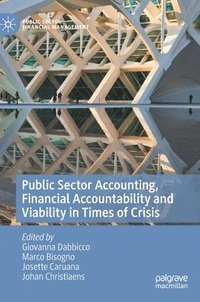 bokomslag Public Sector Accounting, Financial Accountability and Viability in Times of Crisis