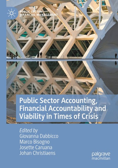 Giovanna Dabbicco, Marco Bisogno, Josette Caruana, Johan Christiaens - Public Sector Accounting, Financial Accountability and Viability in Times of Crisis, Häftad