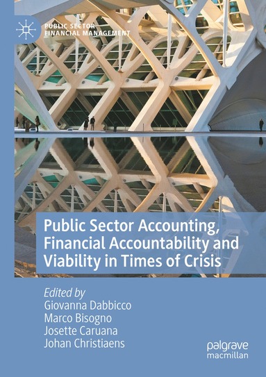 bokomslag Public Sector Accounting, Financial Accountability and Viability in Times of Crisis