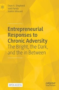 bokomslag Entrepreneurial Responses to Chronic Adversity