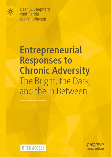 Dean A. Shepherd, Vinit Parida, Joakim Wincent - Entrepreneurial Responses to Chronic Adversity, Inbunden