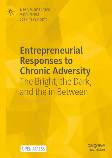 bokomslag Entrepreneurial Responses to Chronic Adversity