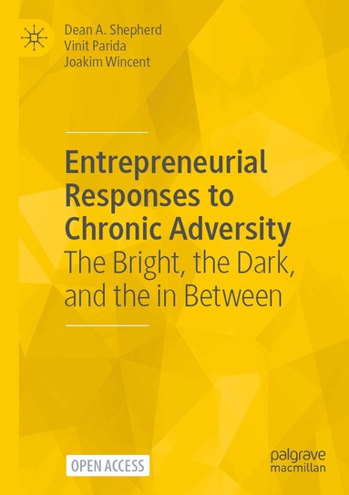 Dean A. Shepherd, Vinit Parida, Joakim Wincent - Entrepreneurial Responses to Chronic Adversity, Häftad