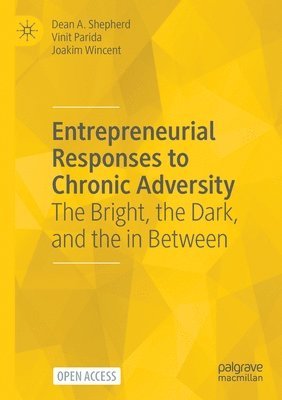 bokomslag Entrepreneurial Responses to Chronic Adversity