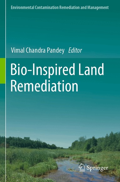 Vimal Chandra Pandey - Bio-Inspired Land Remediation, Häftad