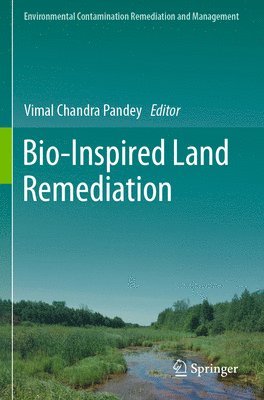 bokomslag Bio-Inspired Land Remediation
