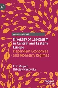 bokomslag Diversity of Capitalism in Central and Eastern Europe