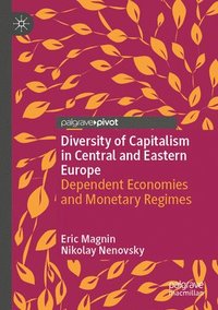 bokomslag Diversity of Capitalism in Central and Eastern Europe