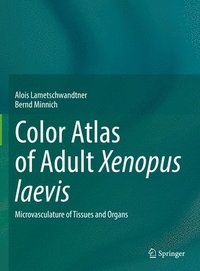 bokomslag Color Atlas of Adult Xenopus laevis