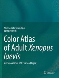 bokomslag Color Atlas of Adult Xenopus laevis