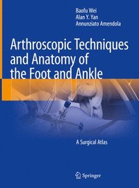 bokomslag Arthroscopic Techniques and Anatomy of the Foot and Ankle