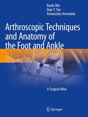 bokomslag Arthroscopic Techniques and Anatomy of the Foot and Ankle