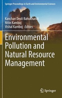 bokomslag Environmental Pollution and Natural Resource Management