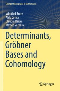 bokomslag Determinants, Grbner Bases and Cohomology