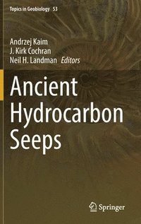 bokomslag Ancient Hydrocarbon Seeps