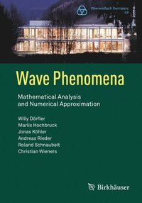 bokomslag Wave Phenomena