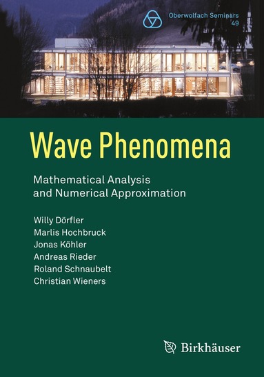 Willy Dörfler, Marlis Hochbruck, Jonas Köhler, Andreas Rieder, Roland Schnaubelt, Christian Wieners - Wave Phenomena, Häftad