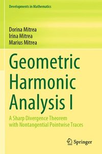 bokomslag Geometric Harmonic Analysis I