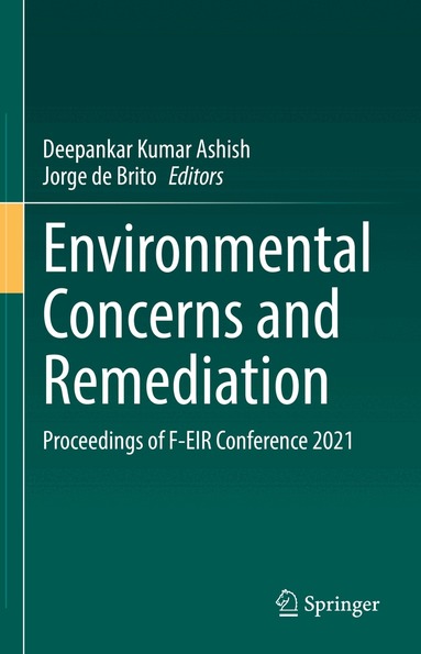 Deepankar Kumar Ashish, Jorge de Brito - Environmental Concerns and Remediation, Inbunden