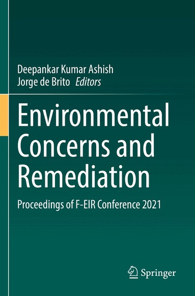 Deepankar Kumar Ashish, Jorge de Brito - Environmental Concerns and Remediation, Häftad