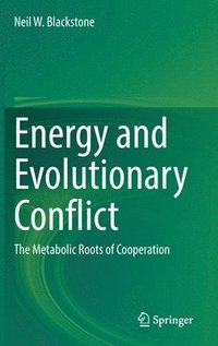 bokomslag Energy and Evolutionary Conflict