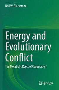 bokomslag Energy and Evolutionary Conflict